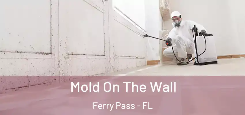 Mold On The Wall Ferry Pass - FL