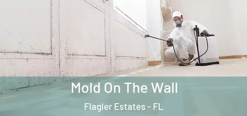  Mold On The Wall Flagler Estates - FL