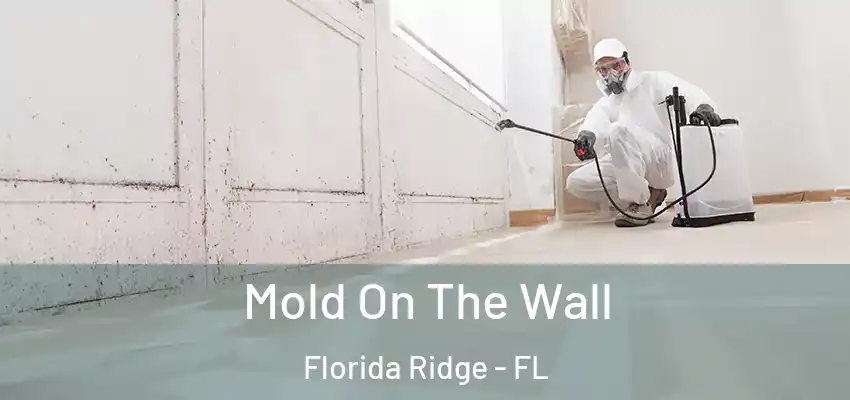 Mold On The Wall Florida Ridge - FL