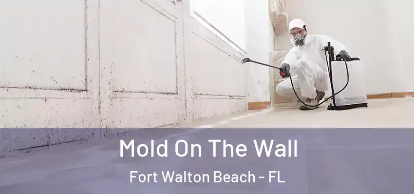  Mold On The Wall Fort Walton Beach - FL