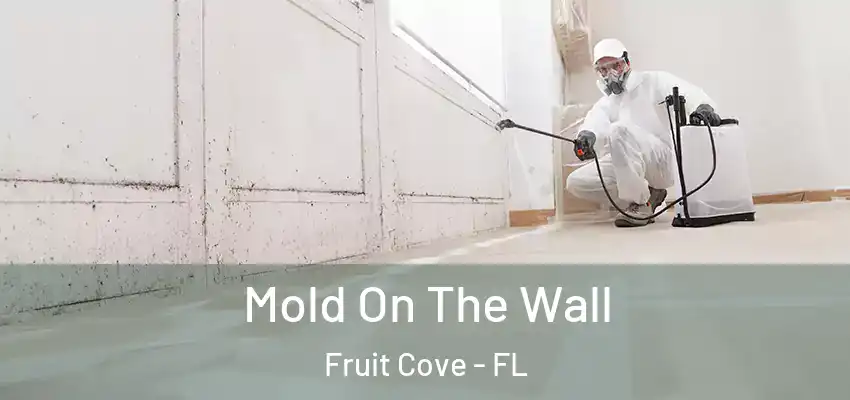  Mold On The Wall Fruit Cove - FL