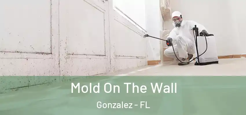  Mold On The Wall Gonzalez - FL
