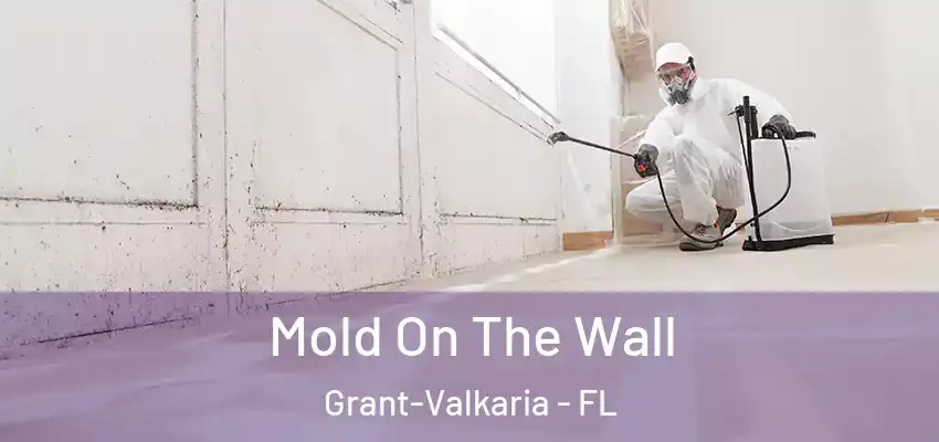 Mold On The Wall Grant-Valkaria - FL