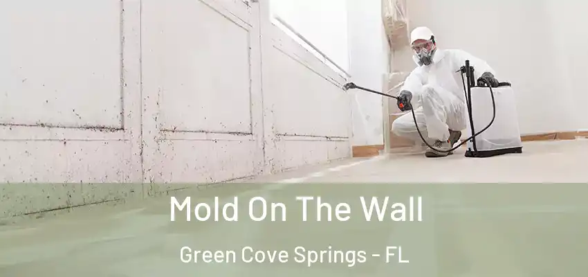 Mold On The Wall Green Cove Springs - FL