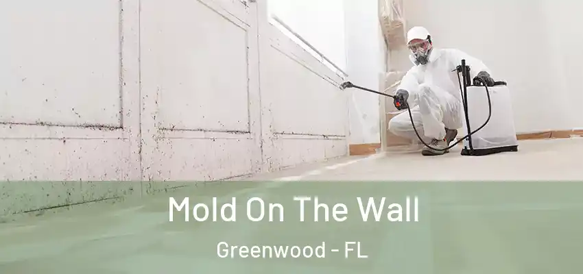  Mold On The Wall Greenwood - FL