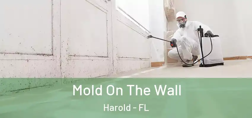 Mold On The Wall Harold - FL