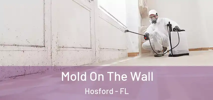 Mold On The Wall Hosford - FL