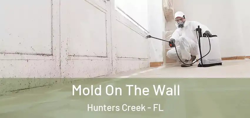  Mold On The Wall Hunters Creek - FL