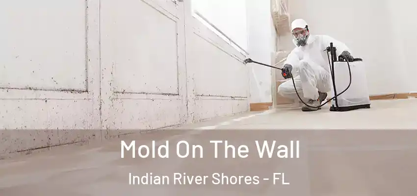 Mold On The Wall Indian River Shores - FL