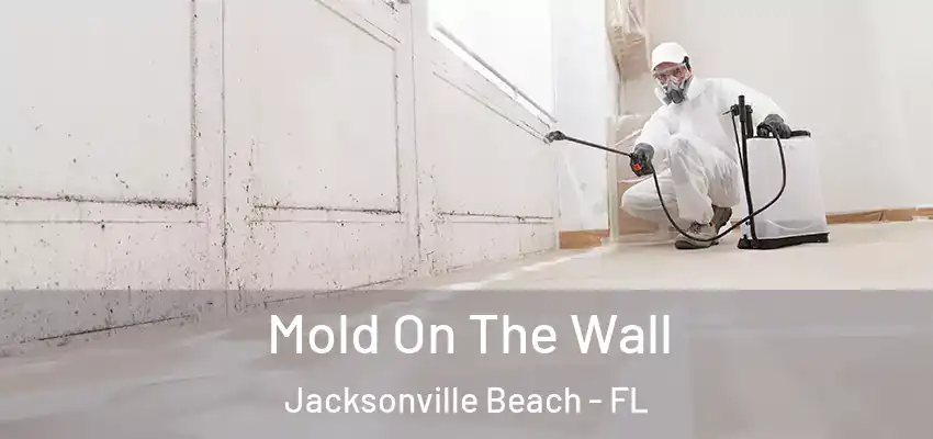  Mold On The Wall Jacksonville Beach - FL