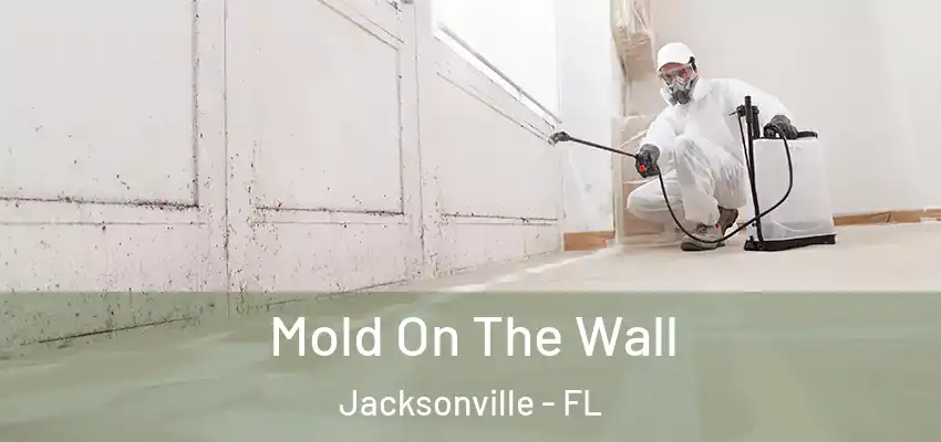  Mold On The Wall Jacksonville - FL