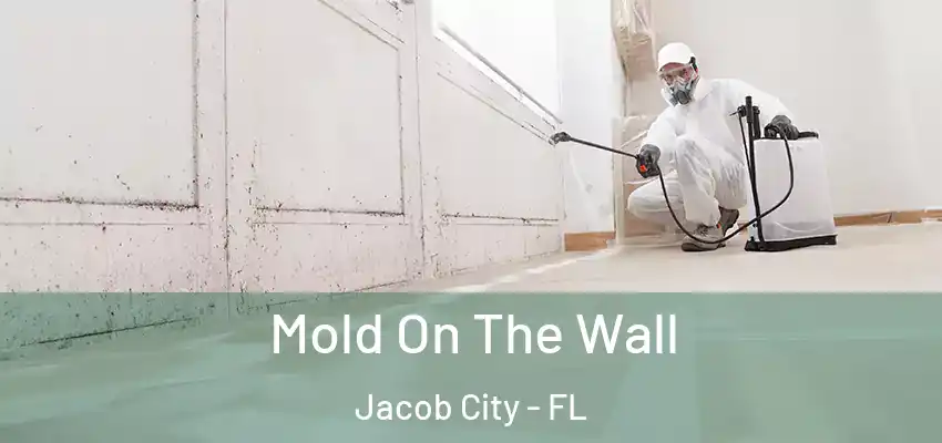  Mold On The Wall Jacob City - FL
