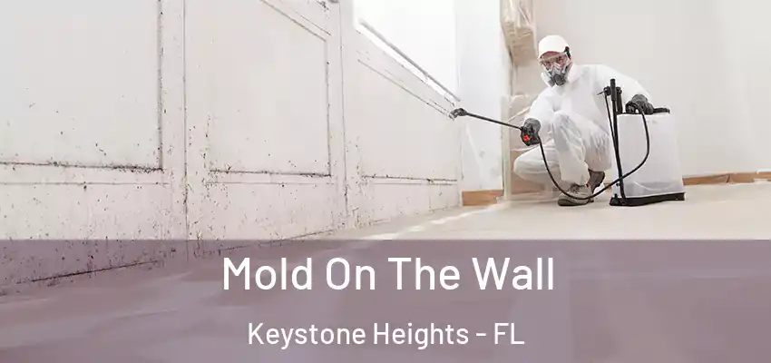  Mold On The Wall Keystone Heights - FL