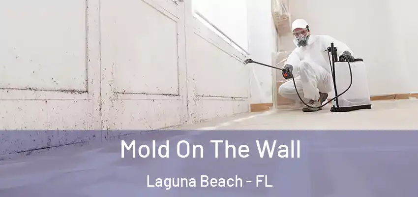  Mold On The Wall Laguna Beach - FL