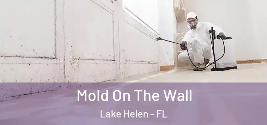 Mold On The Wall Lake Helen - FL