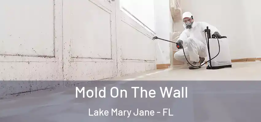  Mold On The Wall Lake Mary Jane - FL