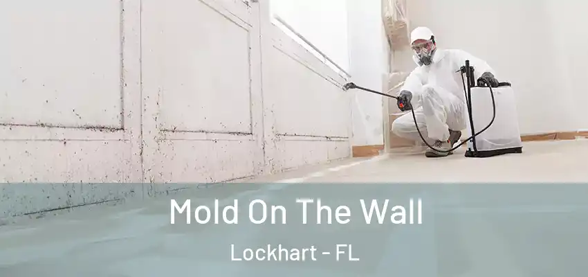 Mold On The Wall Lockhart - FL