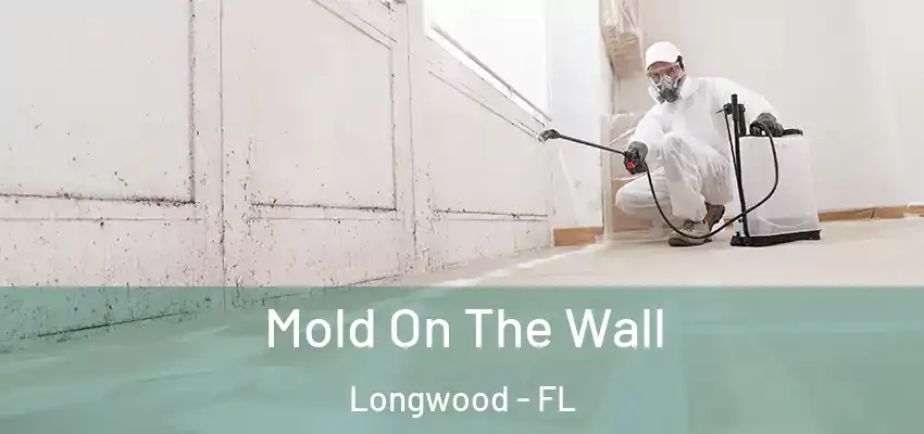  Mold On The Wall Longwood - FL