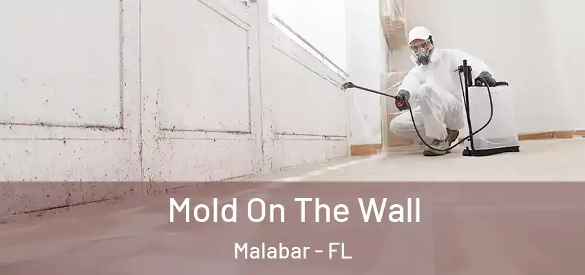 Mold On The Wall Malabar - FL