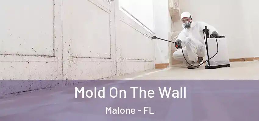  Mold On The Wall Malone - FL