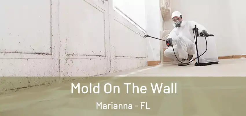 Mold On The Wall Marianna - FL