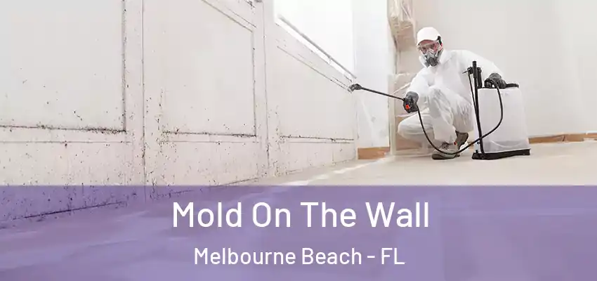  Mold On The Wall Melbourne Beach - FL