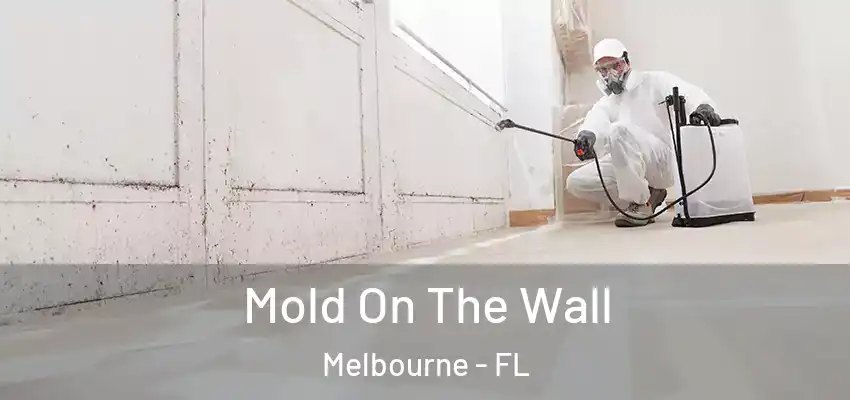 Mold On The Wall Melbourne - FL