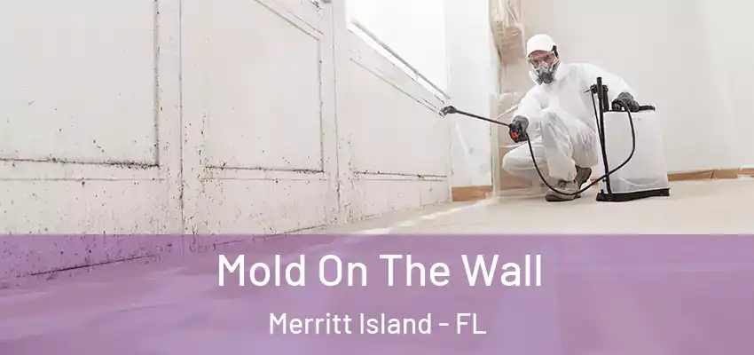 Mold On The Wall Merritt Island - FL