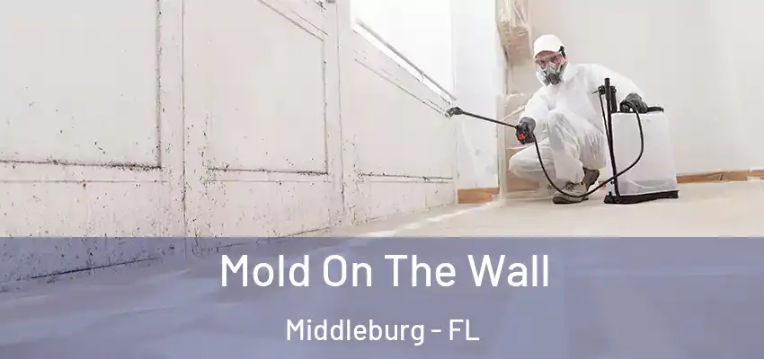  Mold On The Wall Middleburg - FL