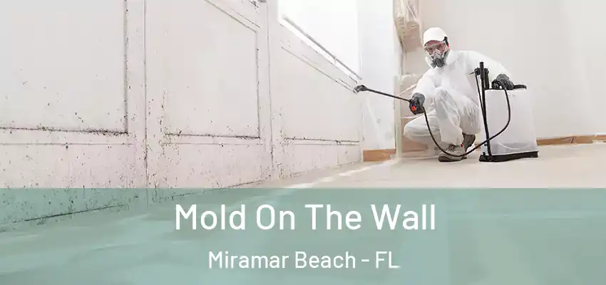  Mold On The Wall Miramar Beach - FL