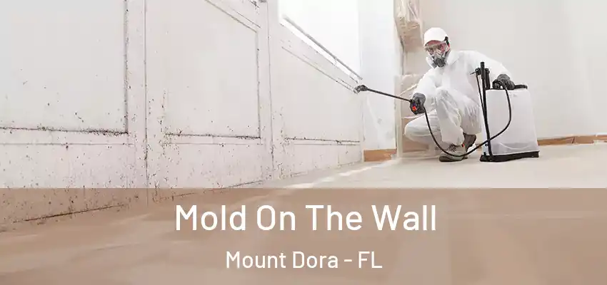 Mold On The Wall Mount Dora - FL