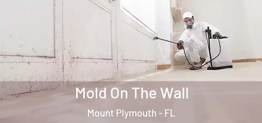  Mold On The Wall Mount Plymouth - FL