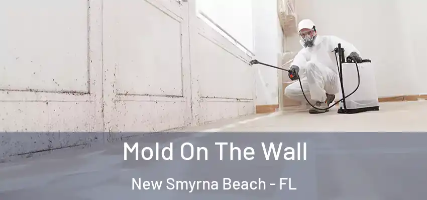  Mold On The Wall New Smyrna Beach - FL