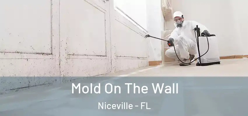  Mold On The Wall Niceville - FL
