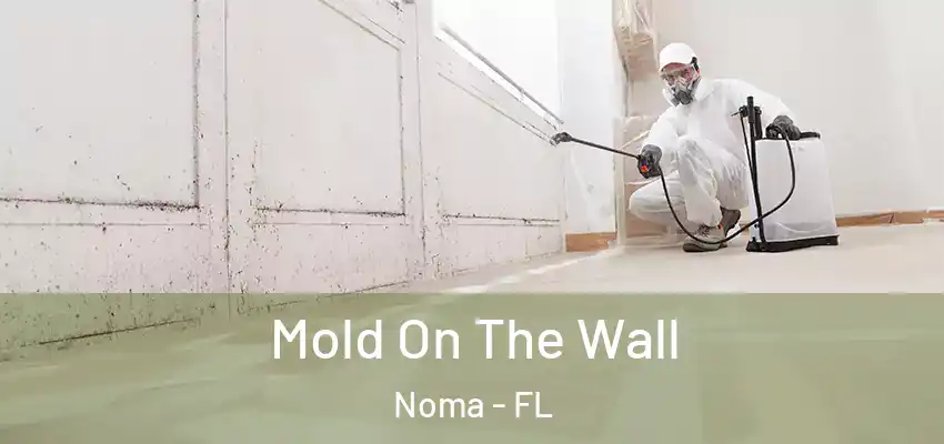  Mold On The Wall Noma - FL