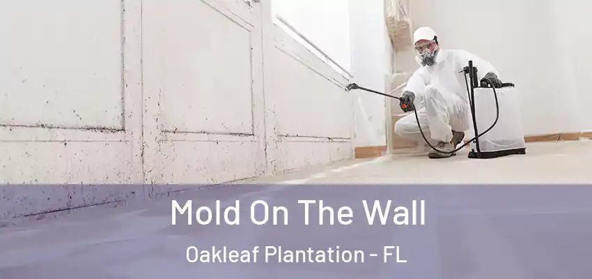 Mold On The Wall Oakleaf Plantation - FL