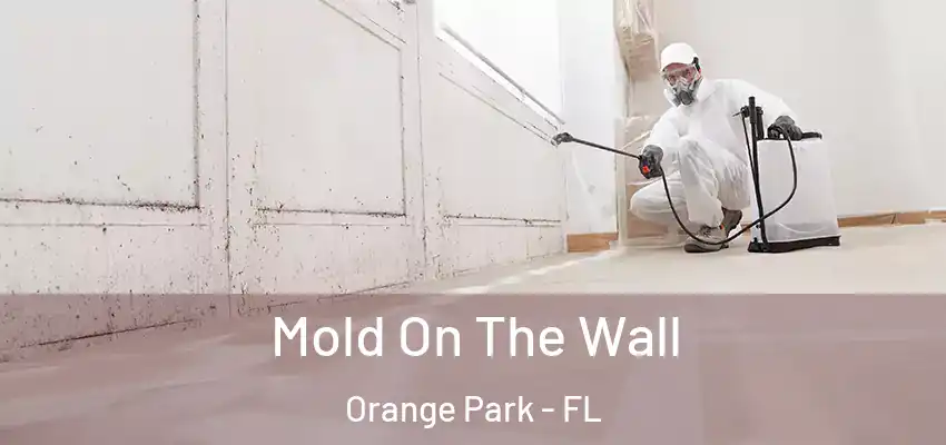  Mold On The Wall Orange Park - FL