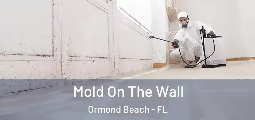  Mold On The Wall Ormond Beach - FL