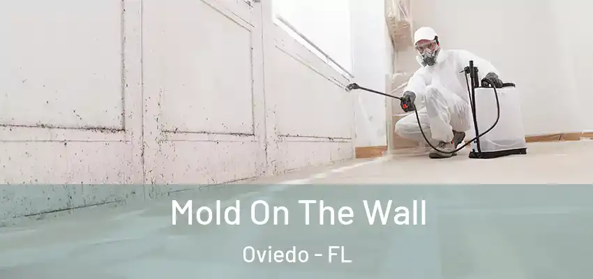 Mold On The Wall Oviedo - FL