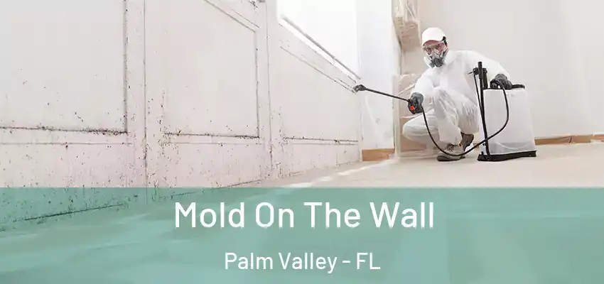  Mold On The Wall Palm Valley - FL