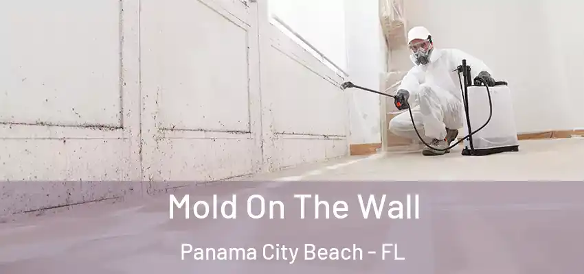 Mold On The Wall Panama City Beach - FL