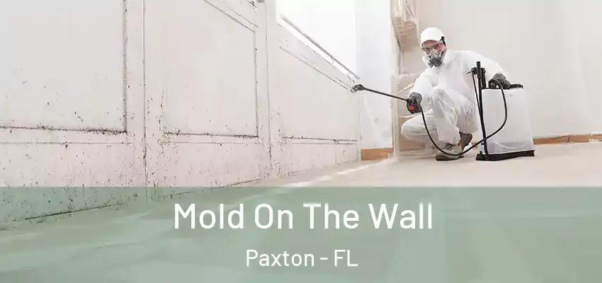 Mold On The Wall Paxton - FL