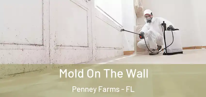  Mold On The Wall Penney Farms - FL