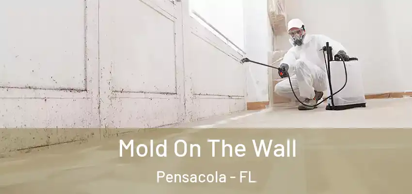  Mold On The Wall Pensacola - FL