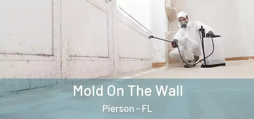  Mold On The Wall Pierson - FL
