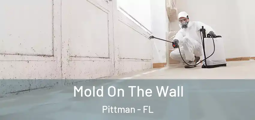 Mold On The Wall Pittman - FL