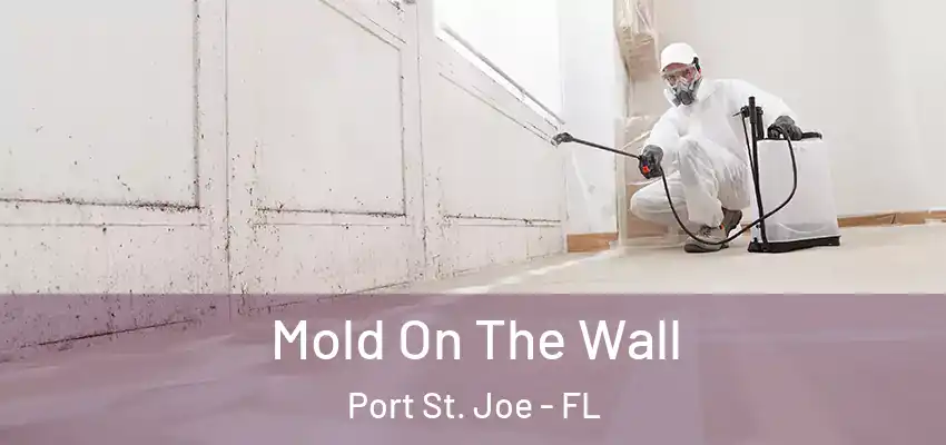Mold On The Wall Port St. Joe - FL