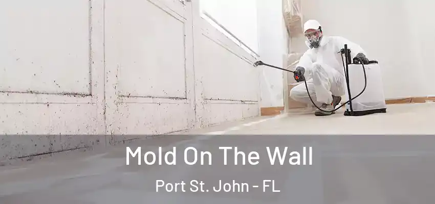  Mold On The Wall Port St. John - FL
