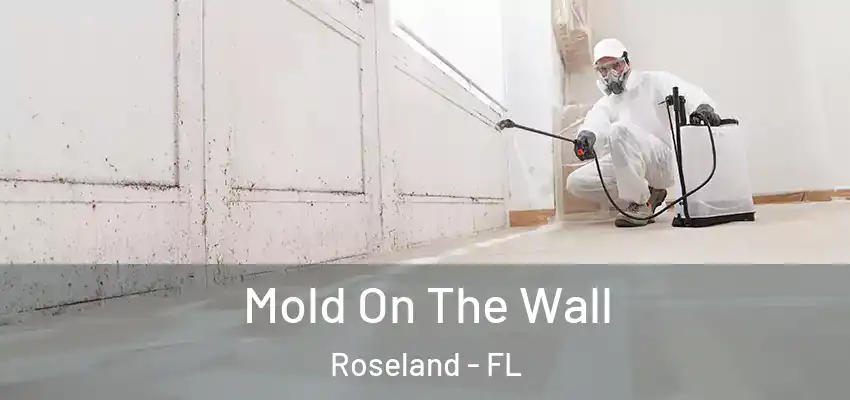  Mold On The Wall Roseland - FL
