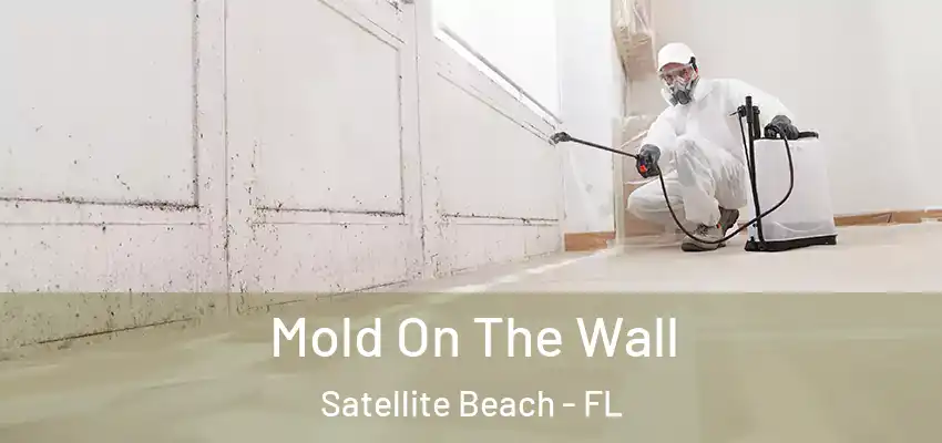 Mold On The Wall Satellite Beach - FL